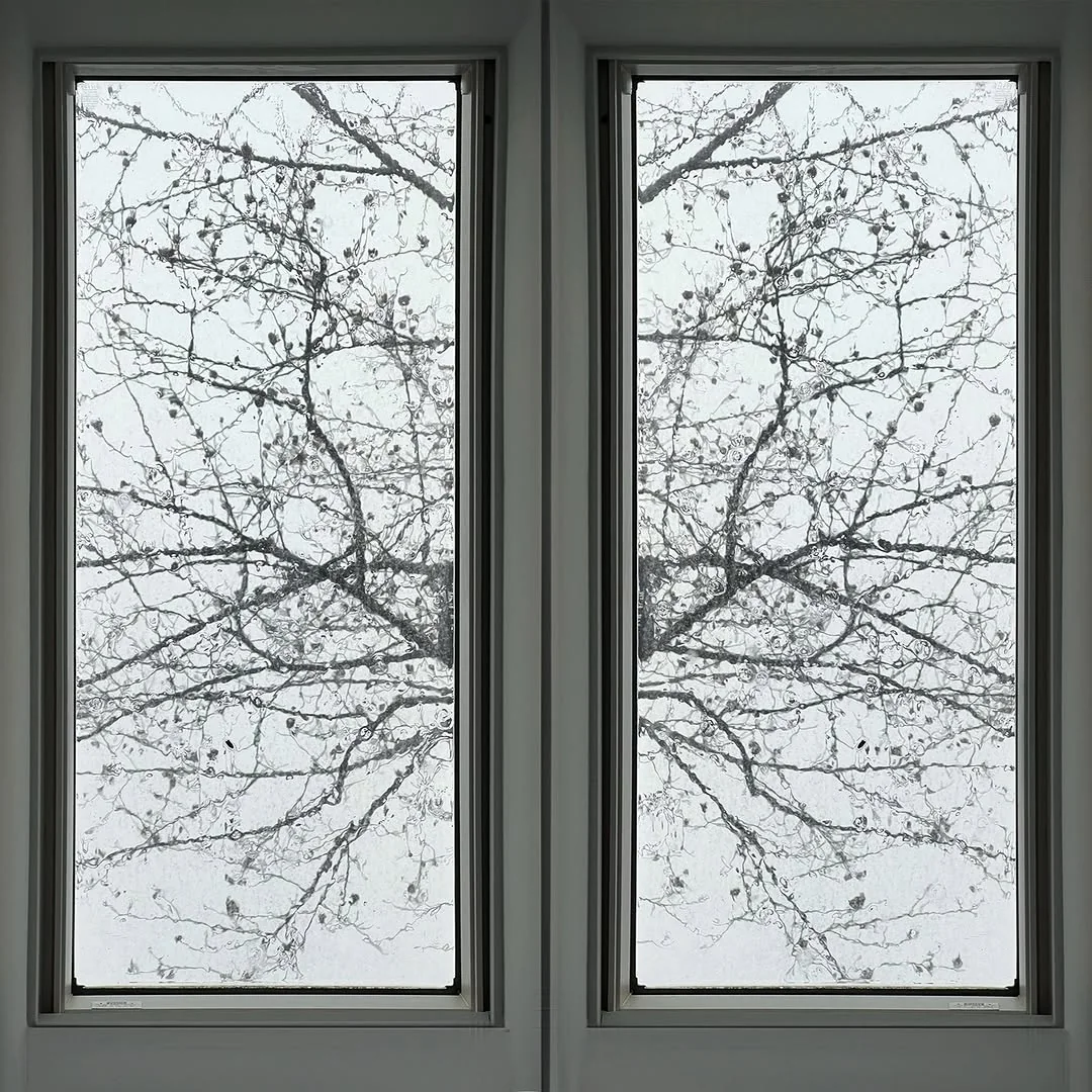 Skylight views on a rainy day.