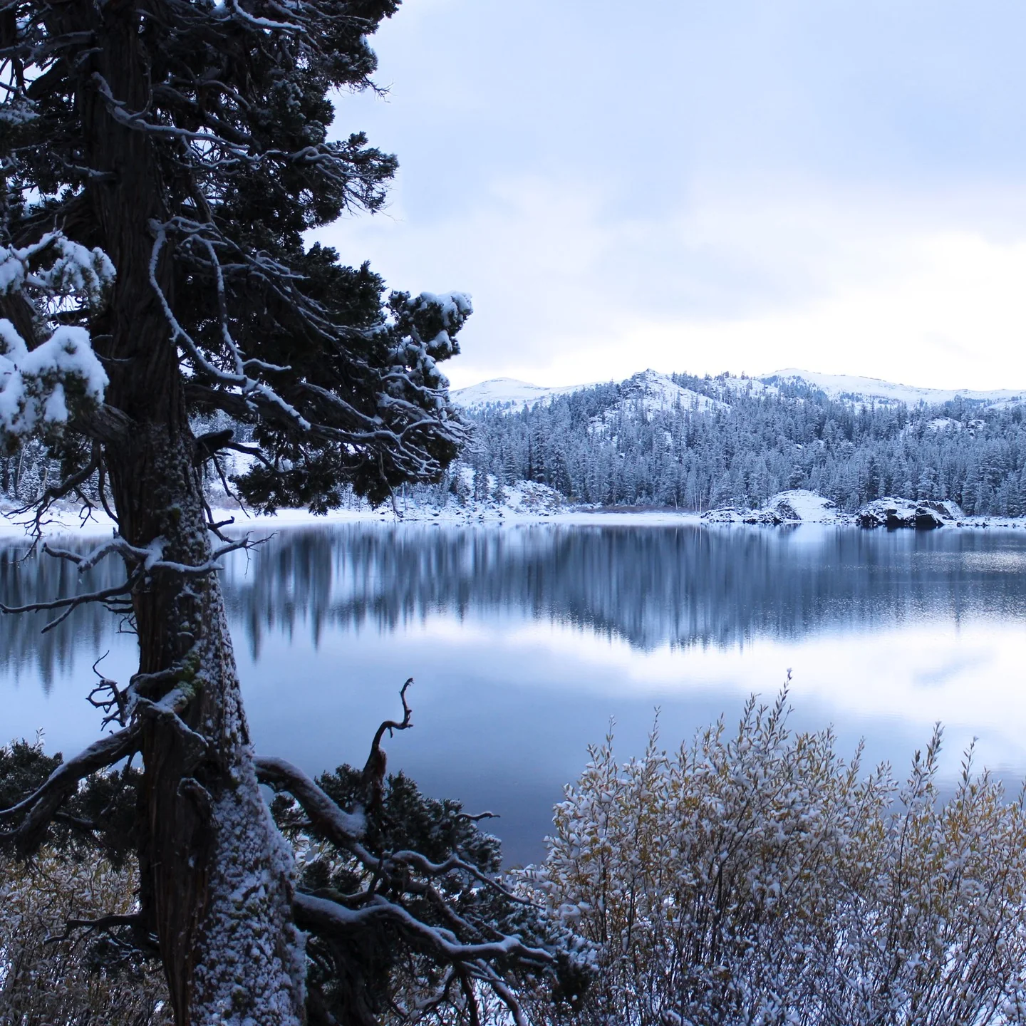 Photo by James F. O'Brien in Lake California, California.