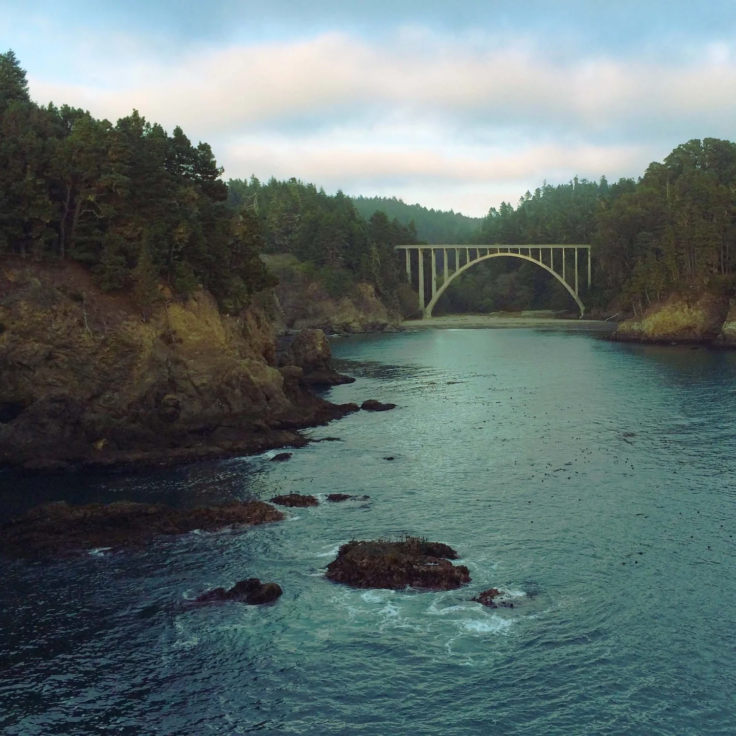 A bridge.