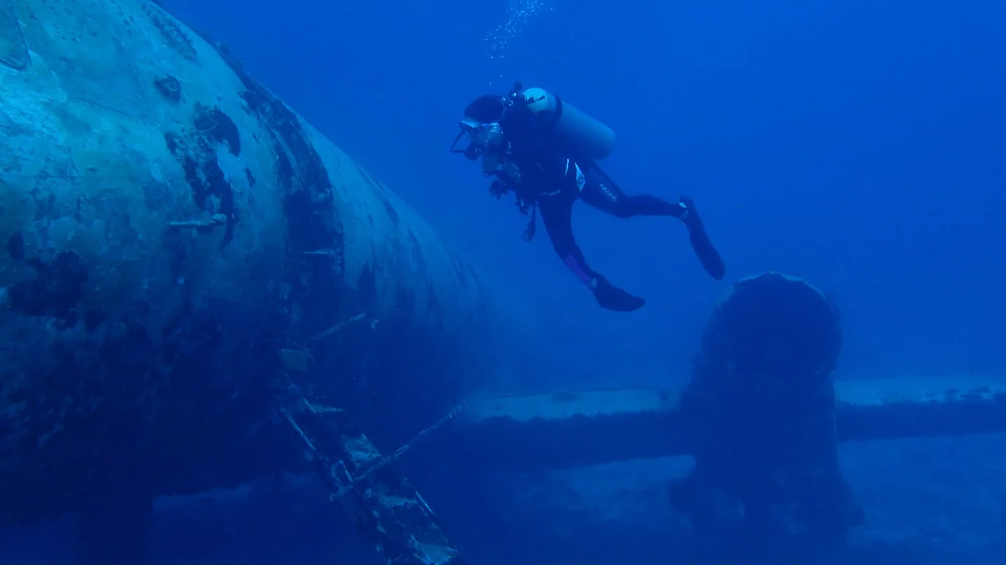 Photo by James F. O'Brien in Oranjestad, Aruba with @monaism.