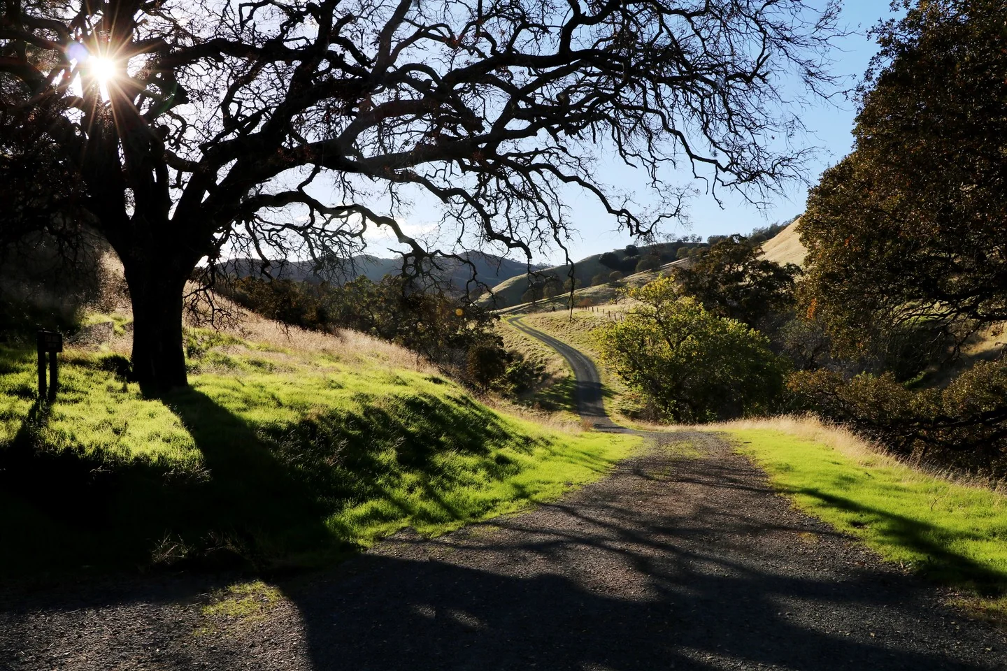 Gravel road in rolling hills. Sun low in the sky. Long shadows.