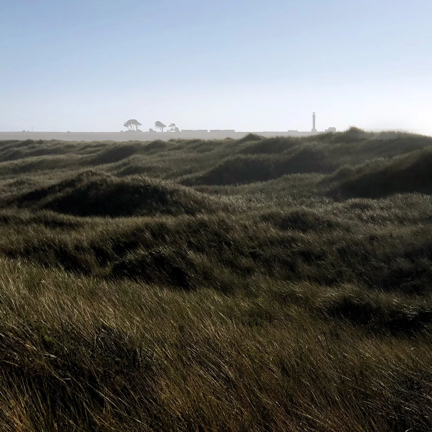 Grass covered dunes by the beach. The Point Arena Lighthouse is a distant grey silhouette.