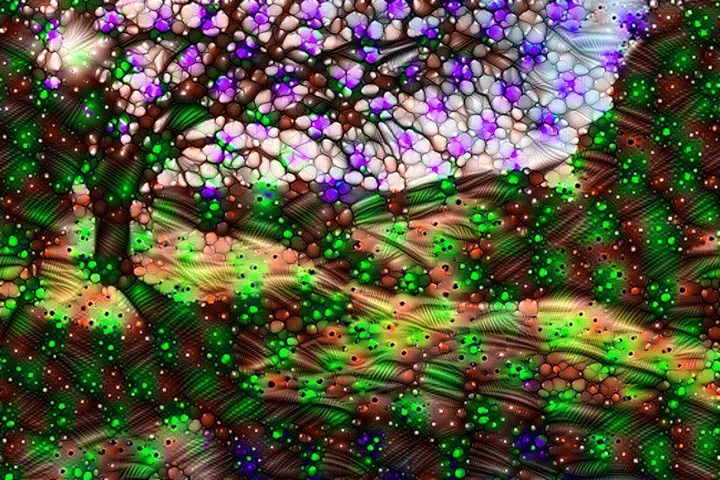 Image created by "deep dreaming".