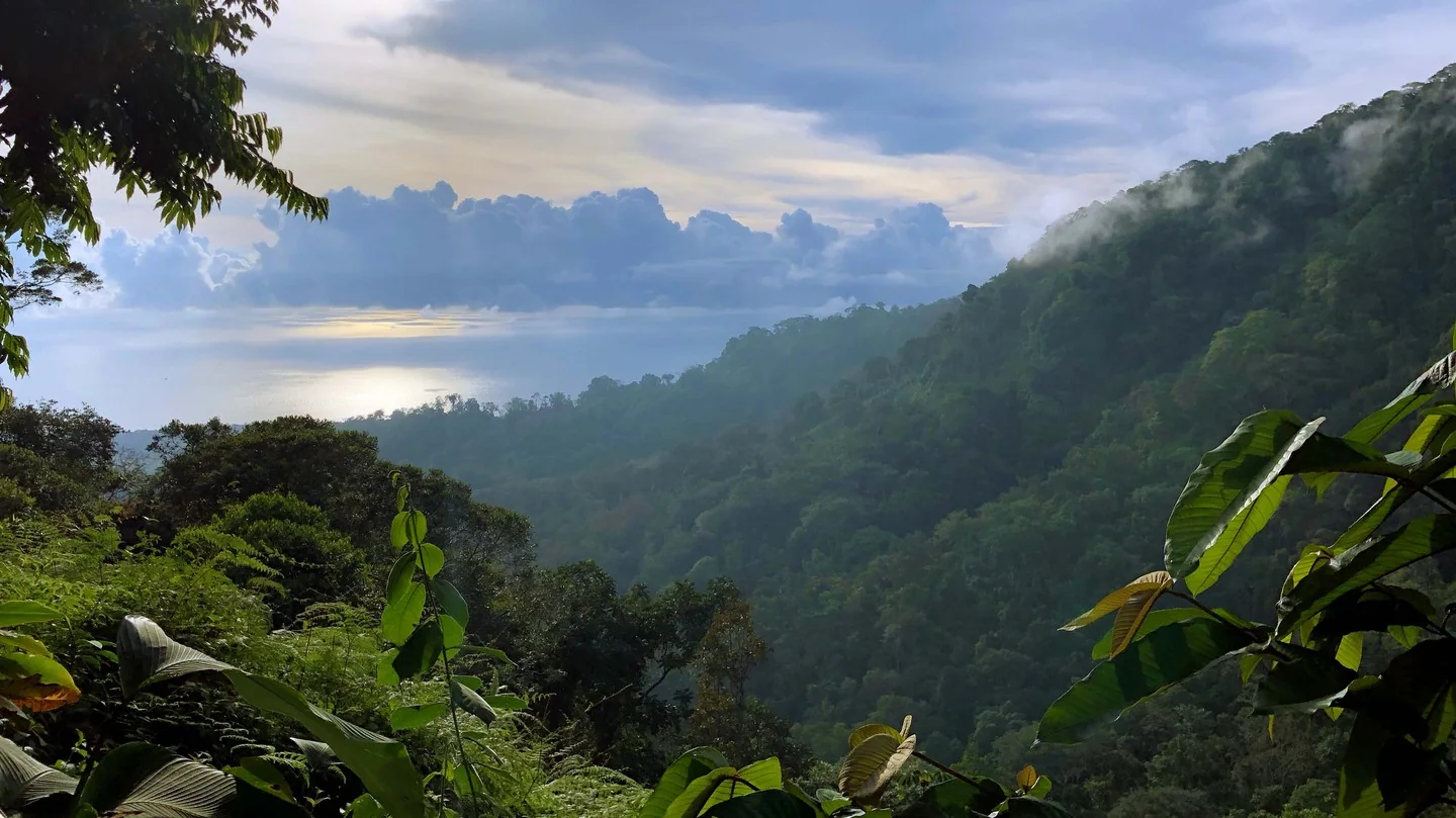 Photo by James F. O'Brien in Osa Costa Rica.