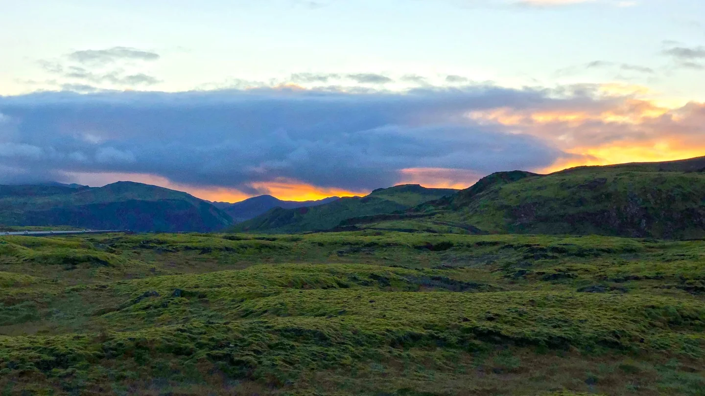 A field of moss-covered lava rocks in Iceland.