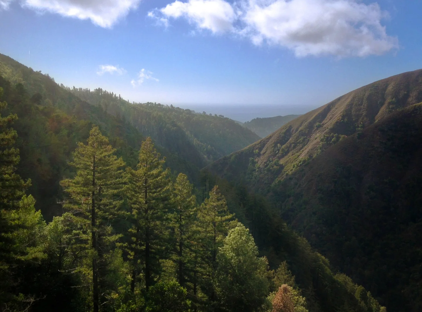 Picture from a hilltop looking down the Big Sure River Gorge.