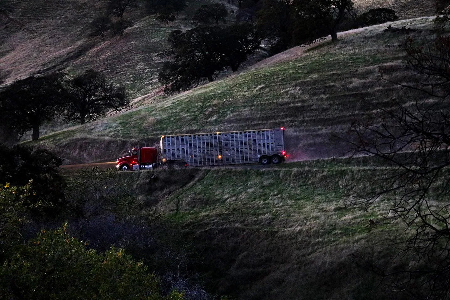 Photo by James F. O'Brien in Black Diamond Mines Regional Preserve.