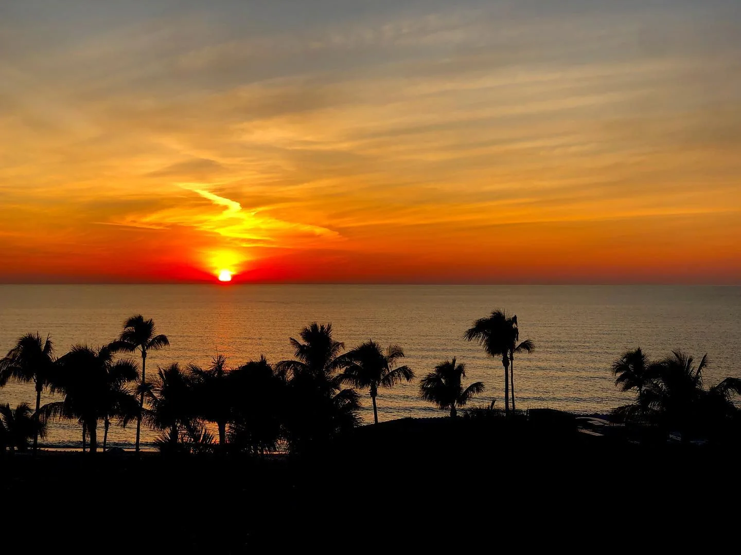 Photo by James F. O'Brien in Naples, Florida.