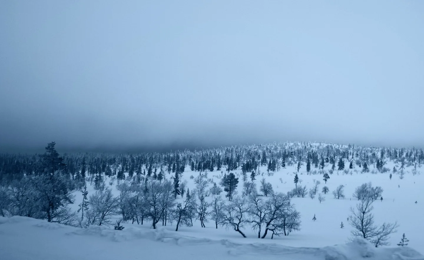 Photo by James F. O'Brien in Lapland, Finland.