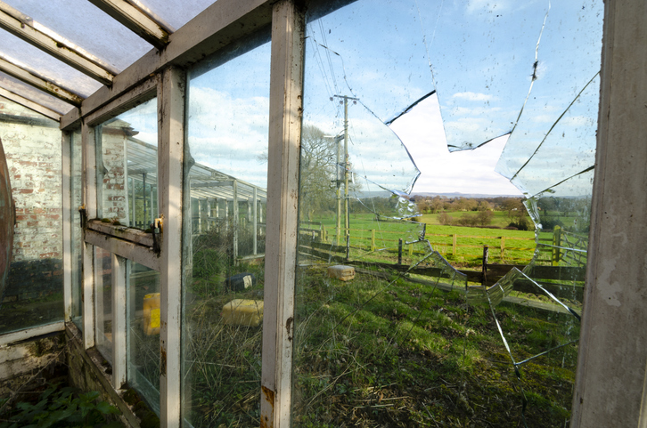 Academic freedom cannot shield universities from political oversight thumbnail