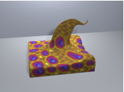 A Texture Synthesis Method for Liquid Animations thumbnail