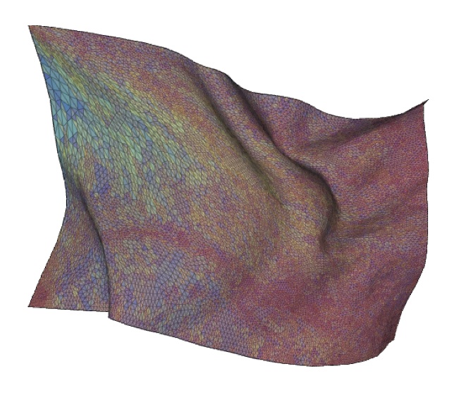 Resampling Adaptive Cloth Simulations onto Fixed-Topology Meshes thumbnail