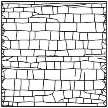 Simulation of Subseismic Joint and Fault Networks Using a Heuristic Mechanical Model thumbnail