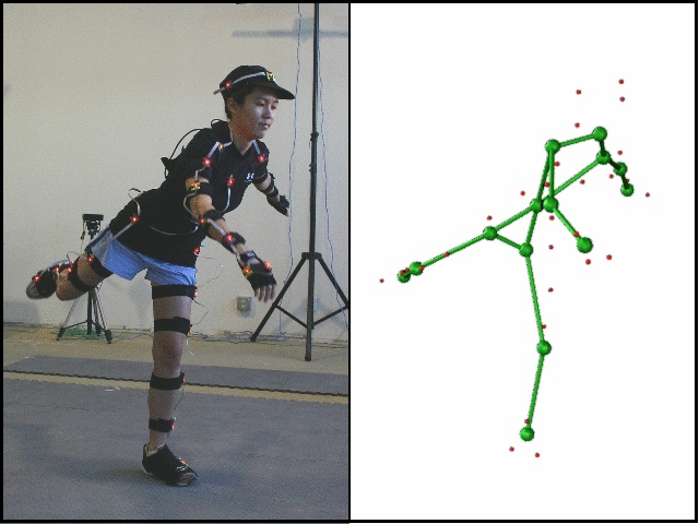 Skeletal Parameter Estimation from Optical Motion Capture Data thumbnail