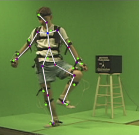 Automatic Joint Parameter Estimation from Magnetic Motion Capture Data thumbnail