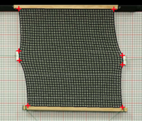 Raw Data thumbnail